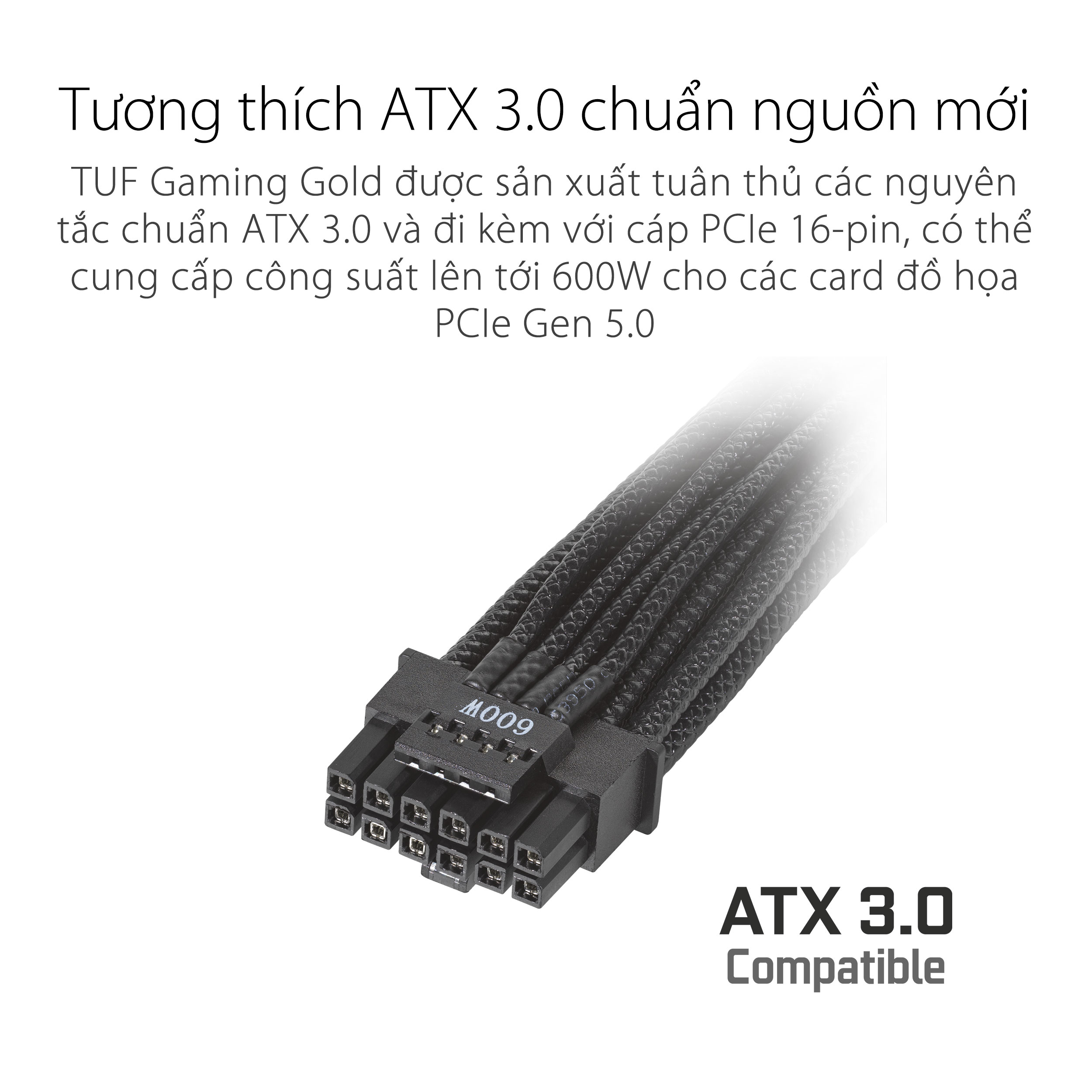 Nguồn Asus TUF Gaming 1000W Gold ATX3.0